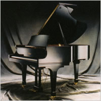 GP-156 PE