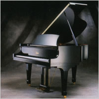 GP-178 PE