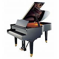 186 Cantus